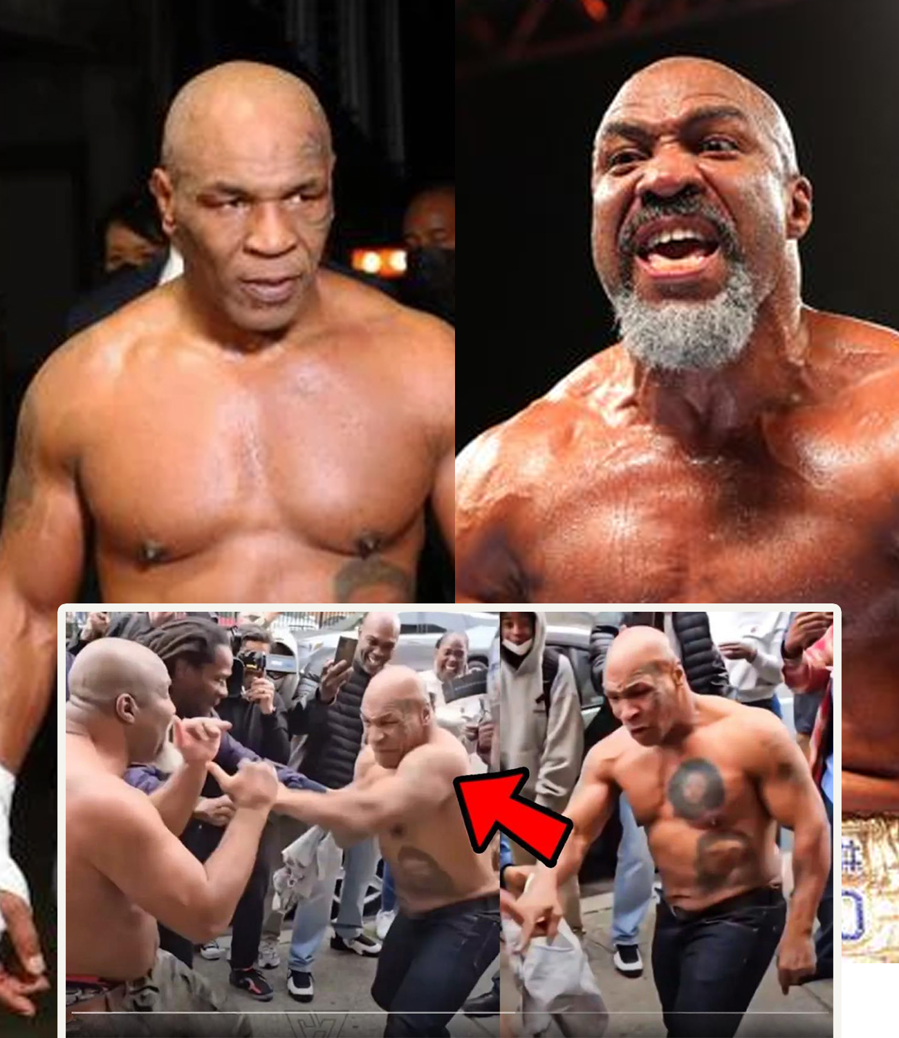 Video Mike Tyson Brawl With Shannon Briggs News