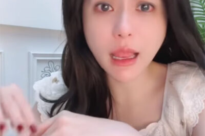 Kết cục cuối cùng của Đoàn Di Băng! Công an đã điều tra toàn bộ