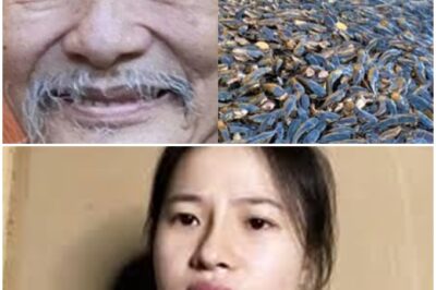 Xôn xao hình ảnh ao cá trê trong Tịnh thất Bồng Lai, dưới đáy lưu giữ bí mật chưa lời giải