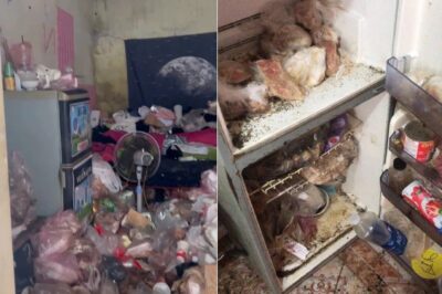 Danh tính cô sinh viên vụ phòng trọ rác “chất như núi” ở P. Nam Định – Ninh Bình: Đi ra ngoài là ăn mặc gọn gàng, sạch sẽ