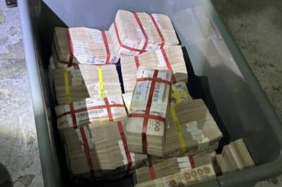 Chuyện thật như đùa: Người phụ nữ này tìm thấy thùng tiền ở bãi rác, chủ nhân bất ngờ l::ộ di:;ện.