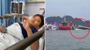 Vụ l/ậ/t t:;àu Hạ LongTưởng cả gia đình thi:;;ệt maang, nhưng 1 chi tiết nhỏ đã cuuu sông caau b/é này
