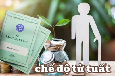 Mới hưởng trợ cấp BHXH hằng tháng mà q-ua đ-ời thì giải quyết như thế này