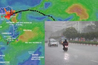 Kh:;ẩn: B/ã/o số 4 Cỏ May đã mạnh lên g:;iật cấp 12, biển động rất mạnh… Hướng đi chi tiết của b::ão