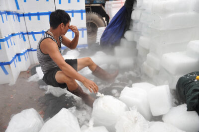 L/ạ/nh g/á/y quy trình sản xuất đá lạnh cung cấp cho quán ăn, giải khát