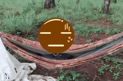 Danh tính bộ h;a;i c;;o;t trên chiếc võng giữa rừng thông Đà Lạt