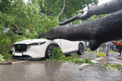 Trời ơi Hà Nội ngay lúc này: Rất nhiều cây đổ rồi! Cầu nguyện cho những nannhan ngồi trong xe