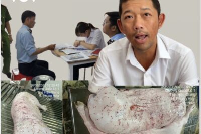 Sau khi nhận giấy triệu tập của Công an Cần Thơ, người từng “t::ố” Công ty C.P. bán thịt heo b-ệnh có hành động gì?