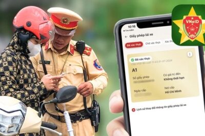 2 trường hợp có thể trình bằng lái trên VNeID hoặc số giấy phép lái xe khi CSGT kiểm tra