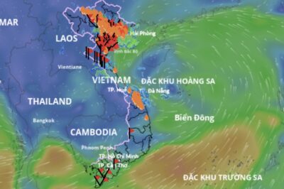 N/ÓNG: Áp thấp nhiệt đới trên biển Đông: Các vùng này sẽ  NGUYHIEM  trong 24 giờ tới